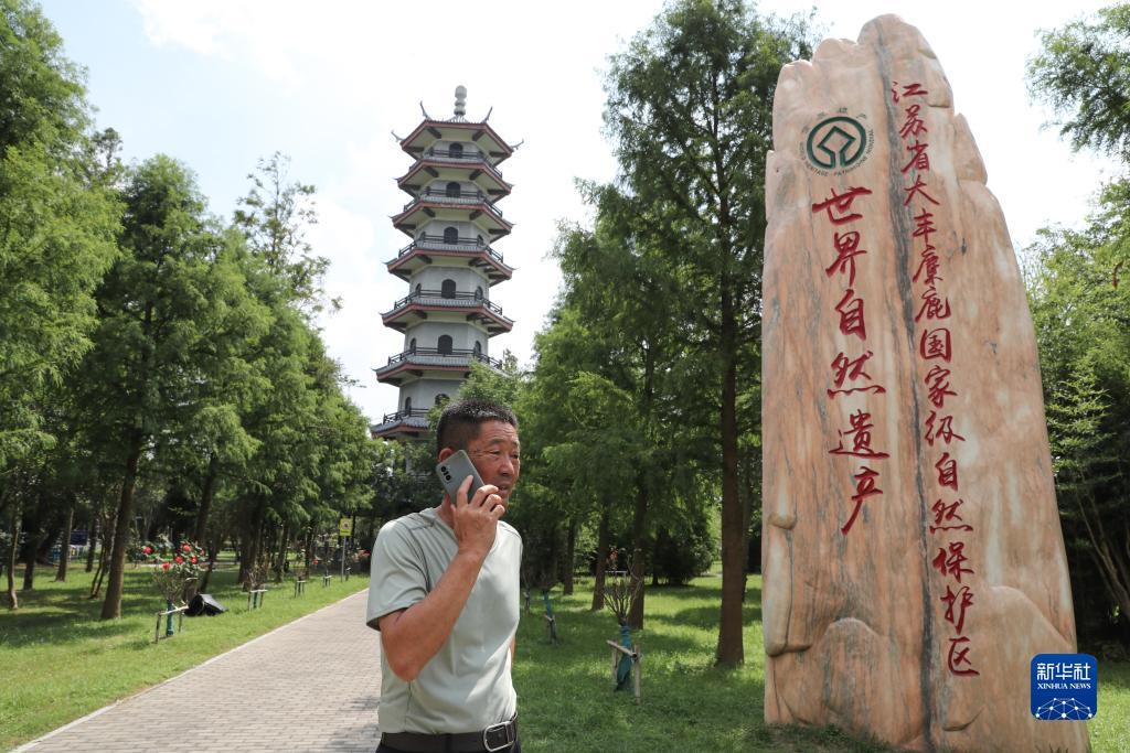 微信夺宝猜大小破解